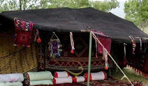 ۳۰ نوروزگاه عشایری در استان ایجاد می شود / توزیع گوشت تولیدی عشایر با قیمت مناسب