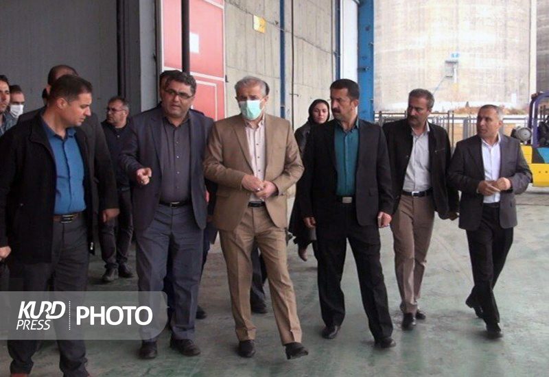 وضعیت کردستان در ذخیره سازی گوشت مرغ مطلوب است