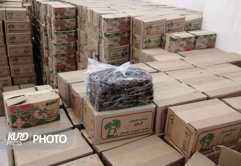 ۱۳ تن خرما برای تنظیم بازار در کردستان خریداری شد