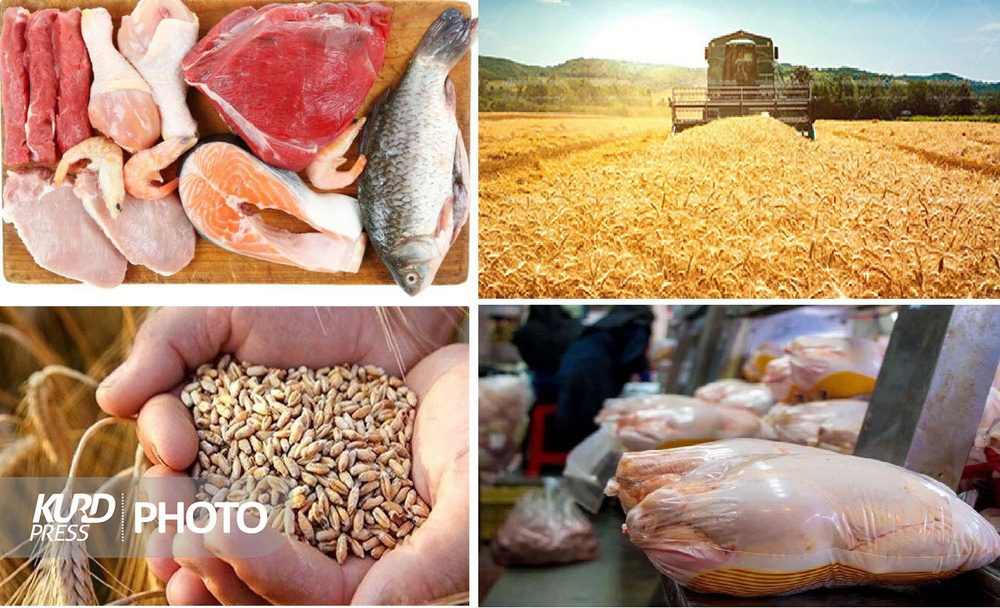 سیاستگذاری های اقتصادی دولت مغایر شعار سال است/ حمایت از تولید فراموش شد!