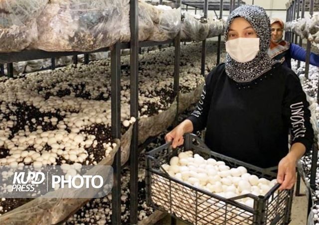 رنج زندگی با نان کارگری