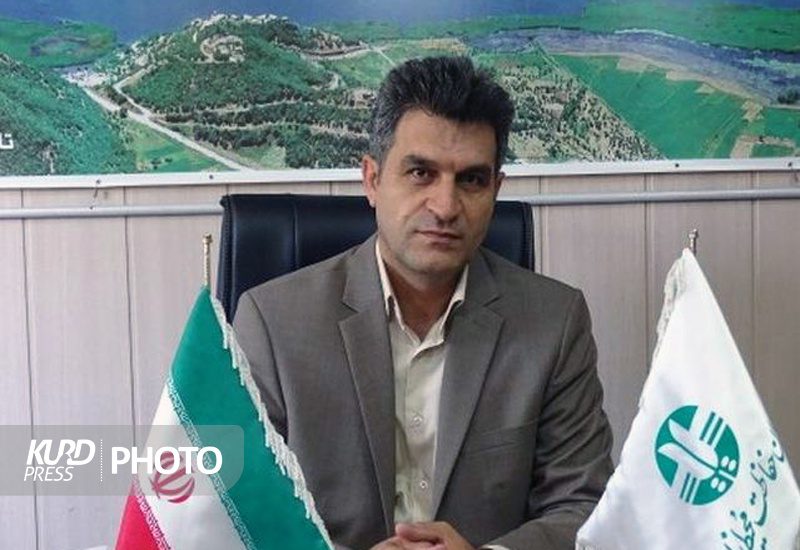 زوزه سگ های ولگرد در شهر خلاق موسیقی/علیه شهرداری سنندج اعلام جرم می شود
