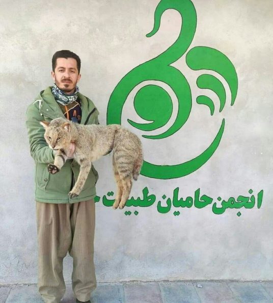قتل مدیر انجمن حامیان طبیعت چرو در روانسر/ ۴ نفر از متهمان دستگیر شدند