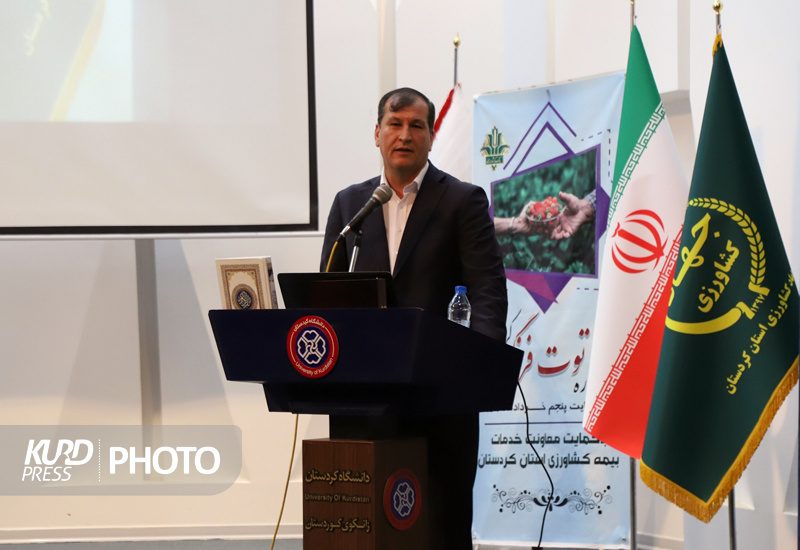 ۵۷ درصد توت فرنگی کشور در کردستان تولید می شود