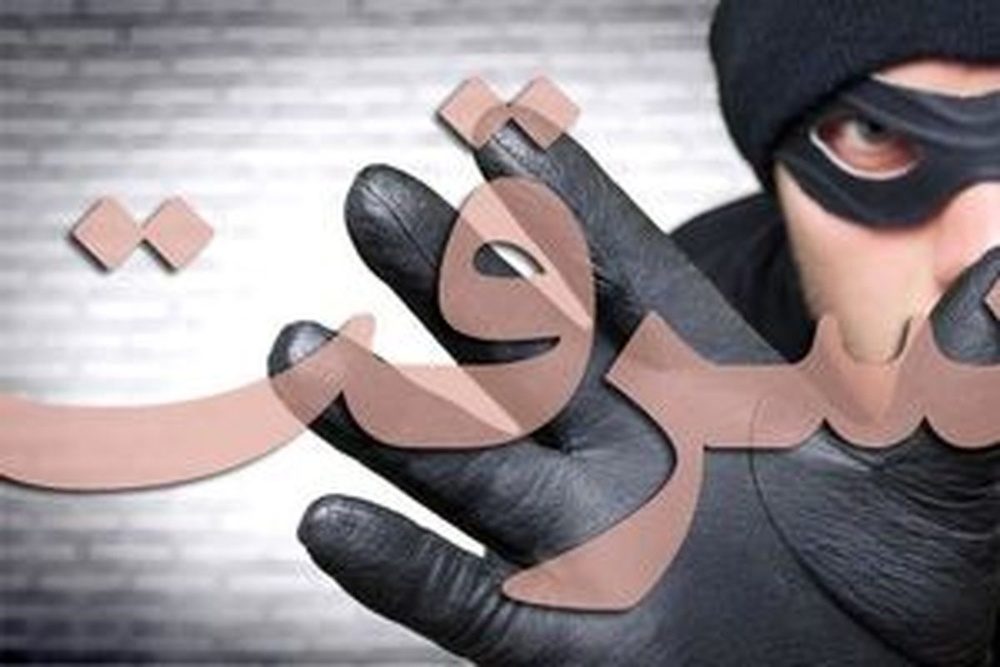 بانک اطلاعاتی سارقین حرفه ای ایلام زودتر تکمیل شود