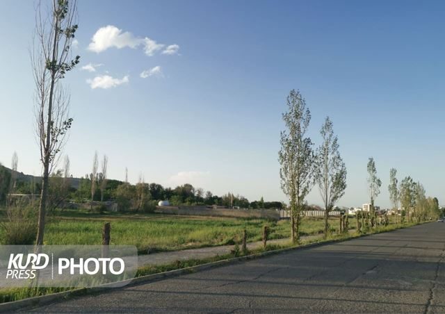 فضای سبز قروه در آغوش مرگ