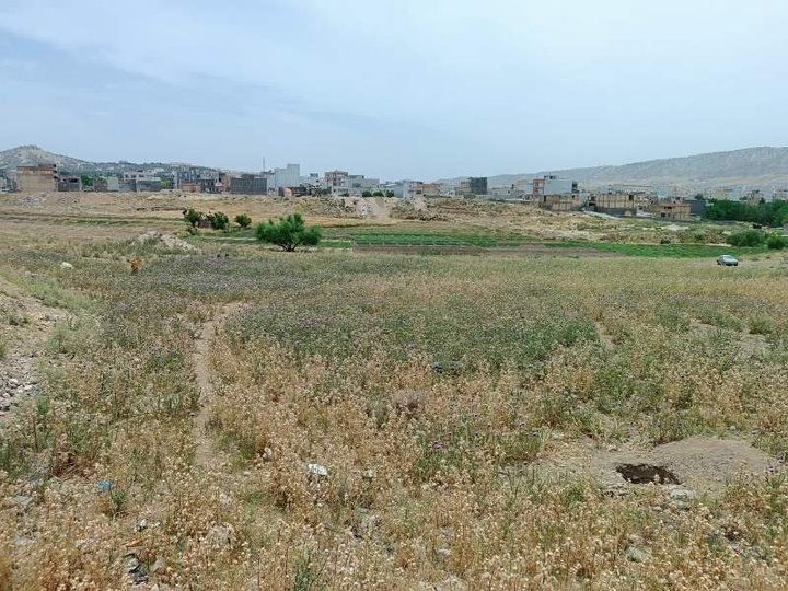 اتمام عملیات گمانه‌زنی در محوطه تاریخی باخه‌نام چالسرای ایلام