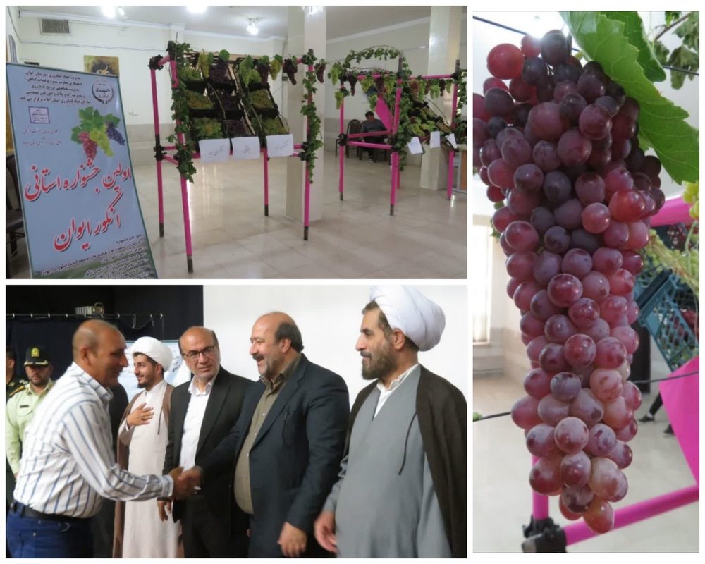 برگزاری اولین جشنواره انگور استان ایلام در ایوان
