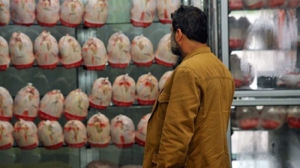 توزیع مرغ منجمد تنظیم بازار در فروشگاه‌های کرمانشاه