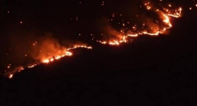 آتش سوزی در ارتفاعات جودی؛ اجازه اطفای حریق داده نمی شود