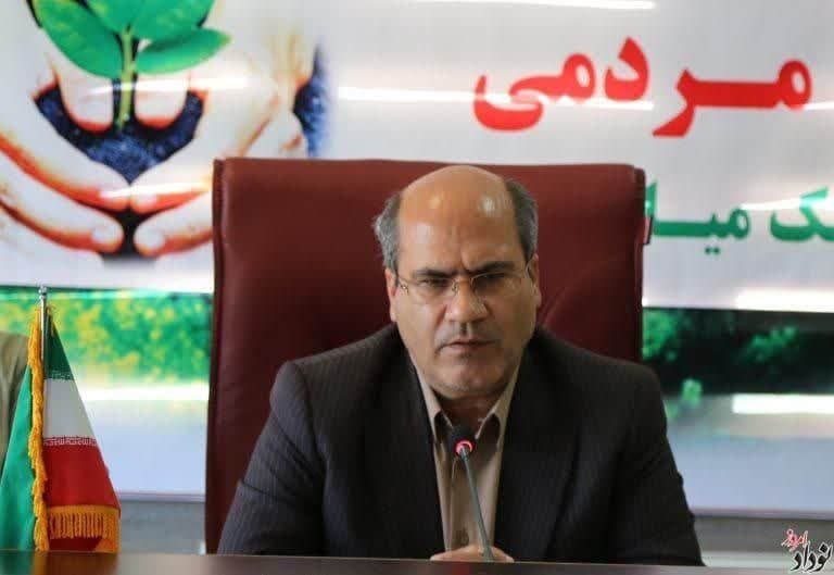 خسارت پروژه گازی بانکول به ۲۳۰ درخت/ اعطای مجوز بهره‌برداری از فرآورده‌های جنگلی ایلام بعد از ۷ سال