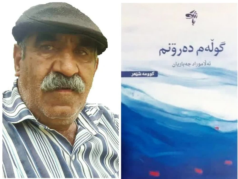 تازه ترین اثر اله مراد جباریان به بازار نشر عرضه شد