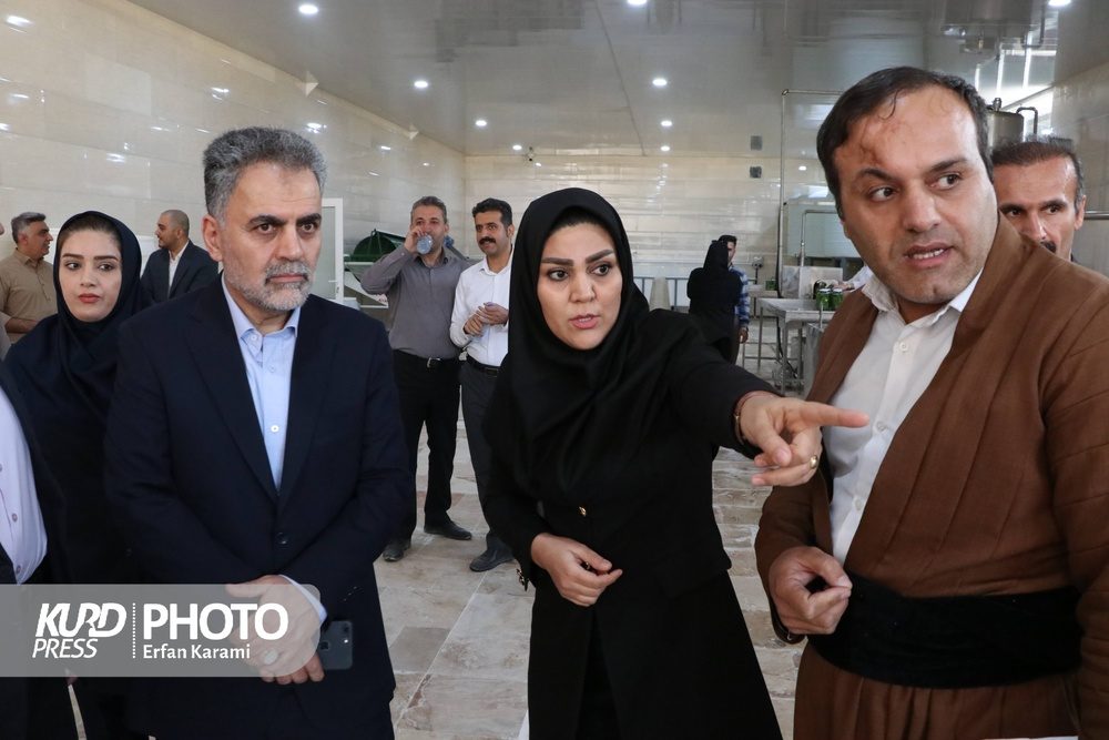 بازدید مدیرعامل صندوق کارآفرینی امید کشور از طرح های کردستان/عکس: عرفان کرمی
