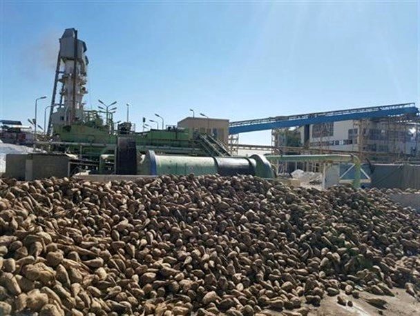 سازش در یک پرونده از تعطیلی کارخانه قند نقده جلوگیری کرد