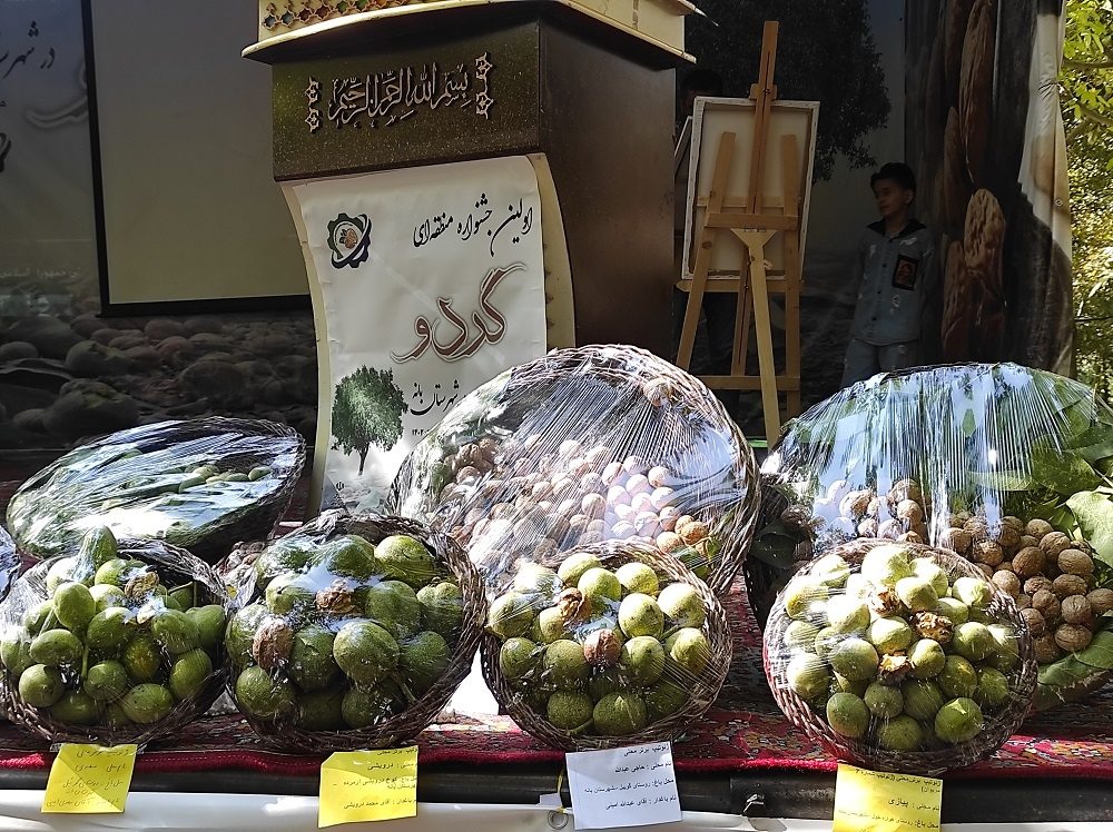 سه میلیون 500 هزار تن محصولات کشاورزی در کردستان تولید شد