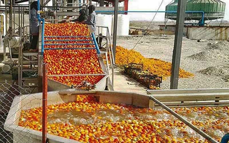 استاندار: تکمیل زنجیره صنایع تبدیلی از اولویت‌های آذربایجان غربی است
