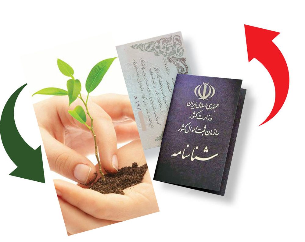 ماجرای شرط کاشت نهال برای صدور شناسنامه در ایلام!