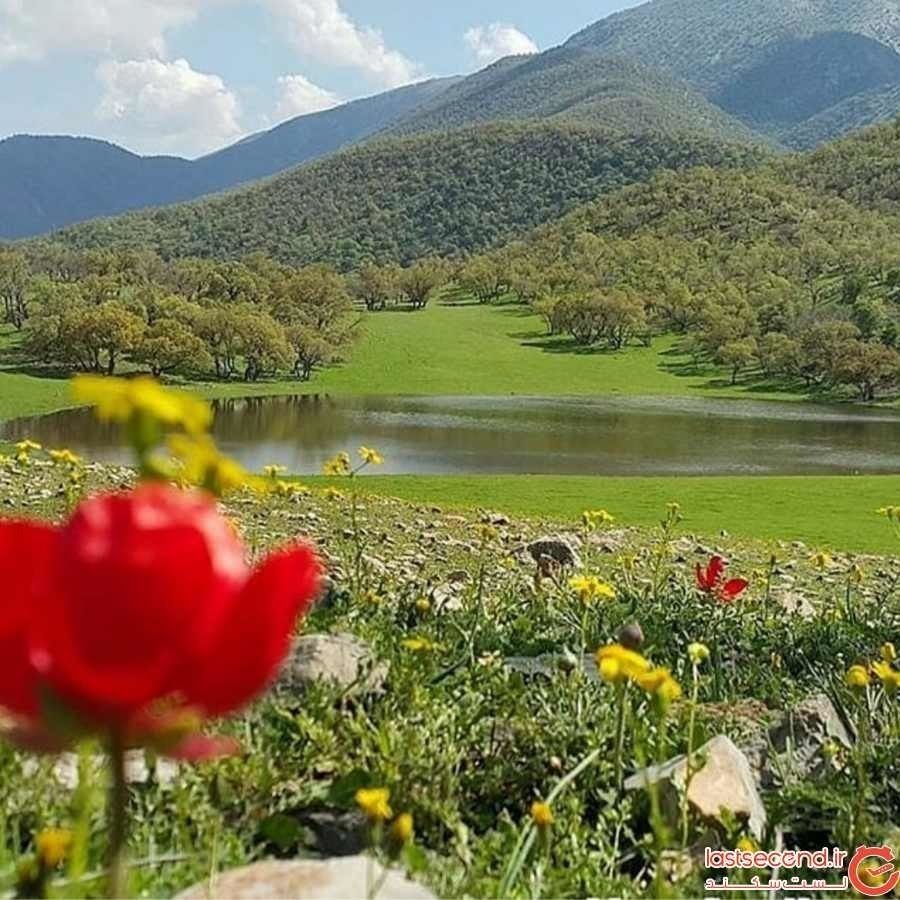 بوزین و مره‌خیل، نگین تنوع زیستی غرب کشور