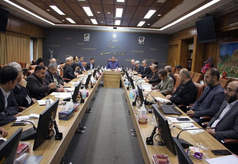 ۱۸۵۰۳ بازرسی در راستای تنظیم بازار در کردستان انجام شد