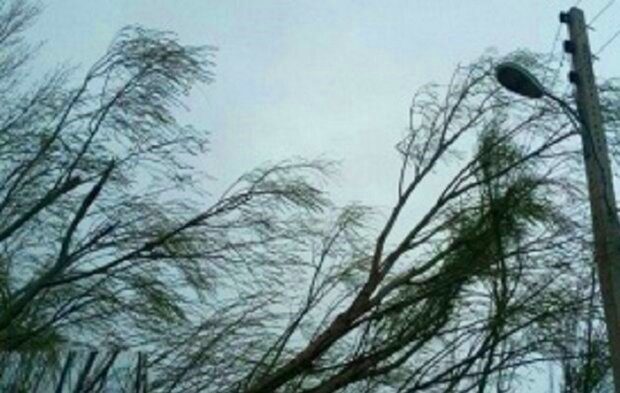تندبادی با سرعت ٩٤ کیلومتر بر ساعت مهاباد را درنوردید