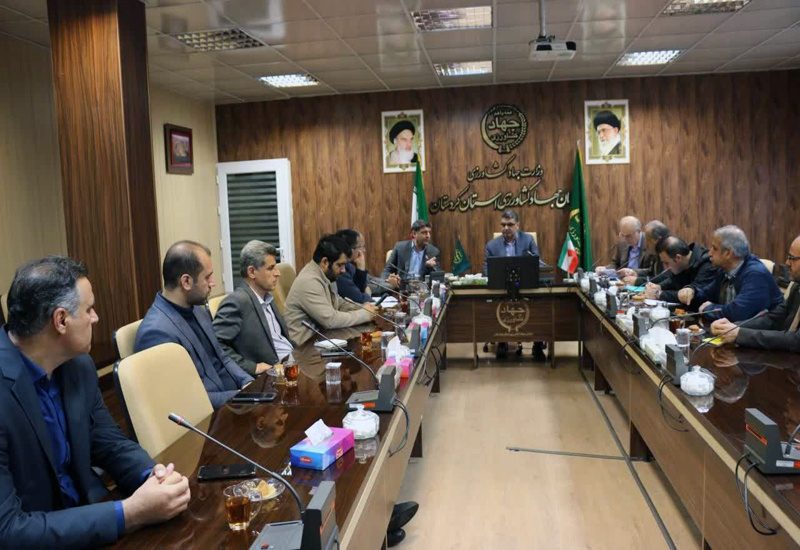 تشکیل اکیپ های مشترک بازرسی و نظارت در بازار کردستان