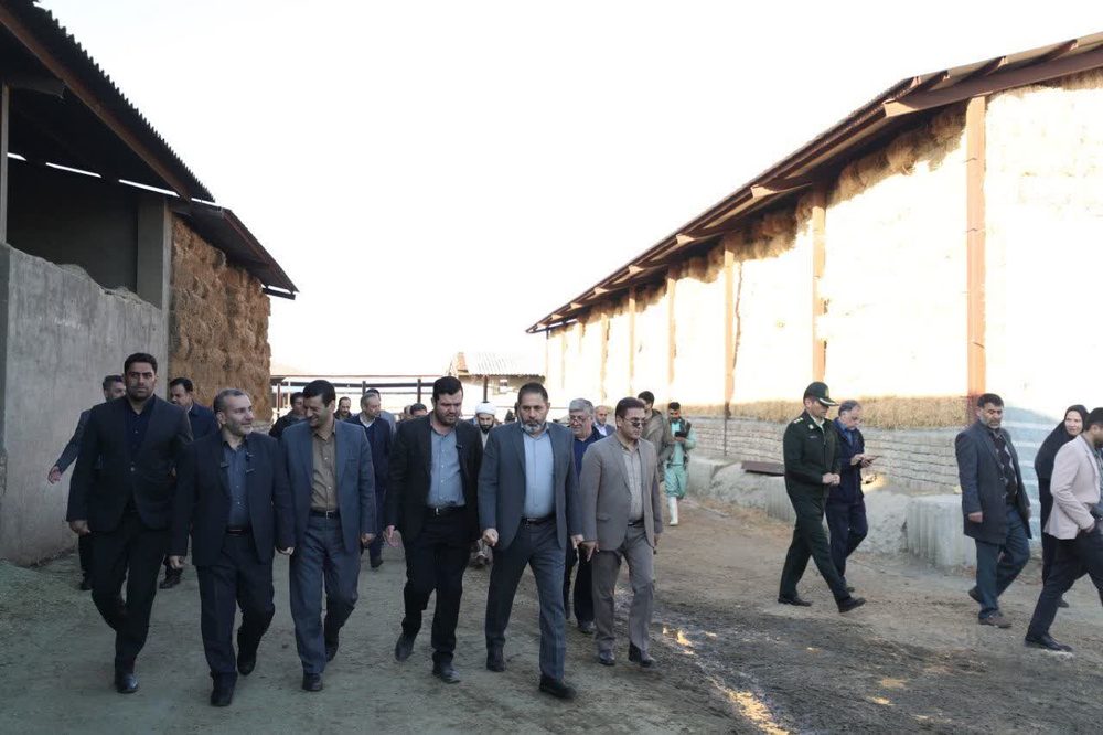 احداث کارخانه لبنیات لازمه توسعه دامپروری کنگاور است