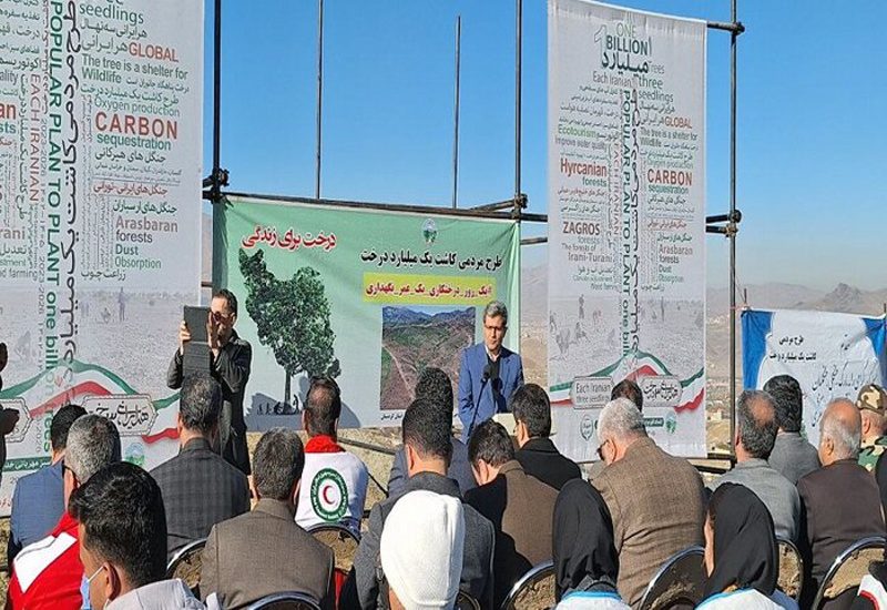 ۱۲ میلیون اصله درخت در کردستان کاشته می شود