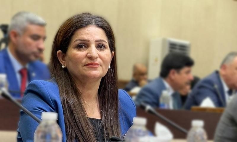 نماینده اتحادیه میهنی کردستان در مجلس عراق: اطمینان دارم مشکل حقوق در سال آینده حل می شود
