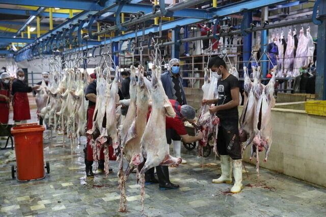 کاهش آمار قربانی در کشتارگاههای اقلیم کردستان بر اثر افزایش نرخ گوشت