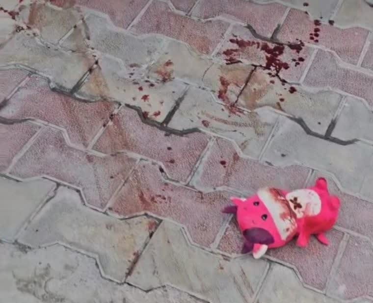 دختر ۶ ساله ایلامی در یک تیراندازی جان باخت