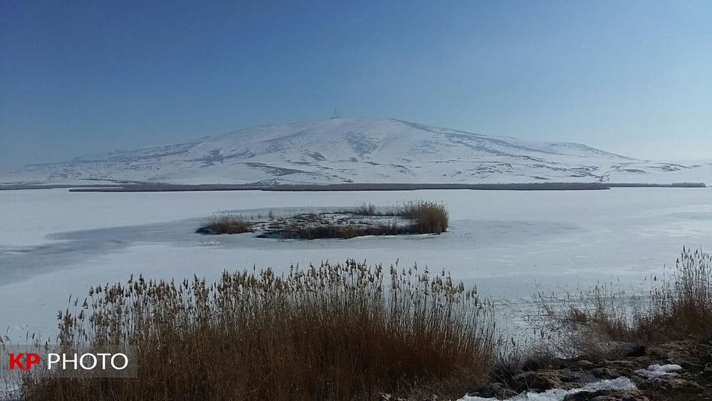 تالاب بین المللی «کانی برازان» مهاباد یکی از زنده ترین تالاب های ایران