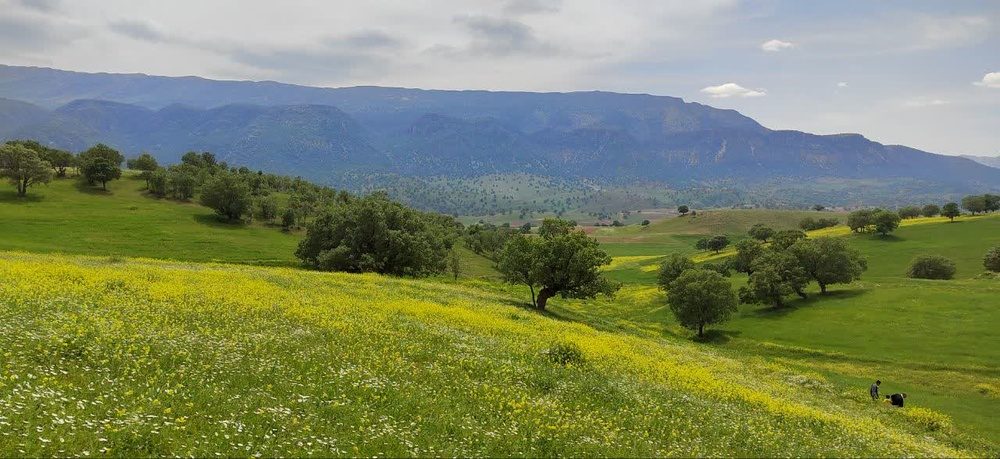 ۱۶ توصیه فعال زیست محیطی ایلام به گردشگران طبیعت استان