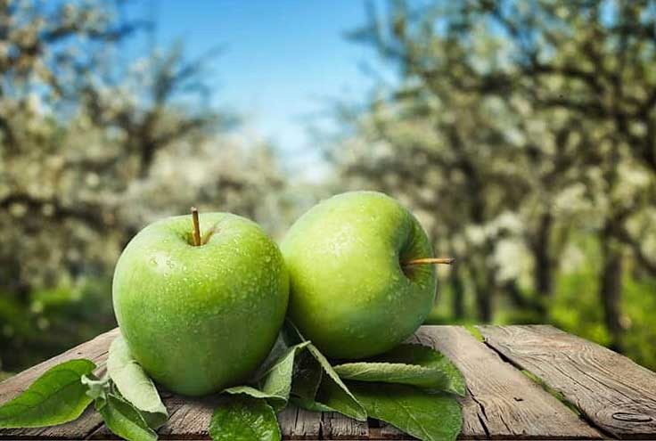 سیب سبز سرچاو دالاهو، برند ناشناخته ثلاث باباجانی / عثمان نصیری