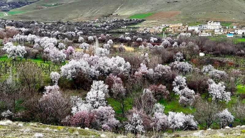 دینور به یک مقصد مهم گردشگری تبدیل شده است