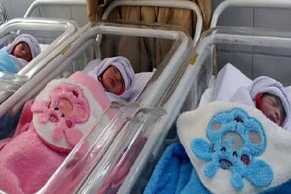 نوزادان سه قلو در سنندج به دنیا آمدند