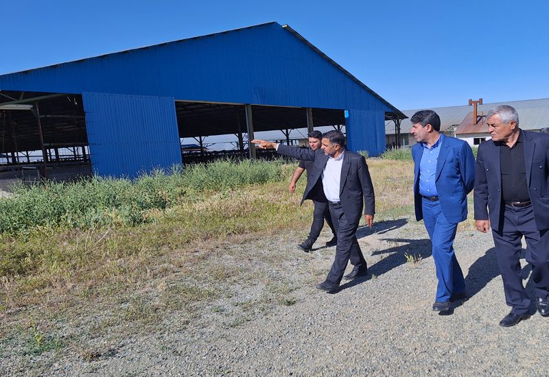 سنگ اندازی مسئولان کردستان پیش پای زنجیره تولیدی بارین/کارگروه ملی تسهیل ورود می کند