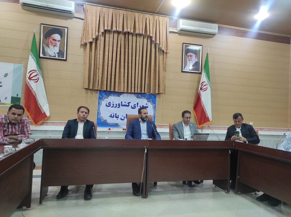 ۱۴ هزار هکتار از اراضی بانه زیر کشت محصولات کشاورزی است