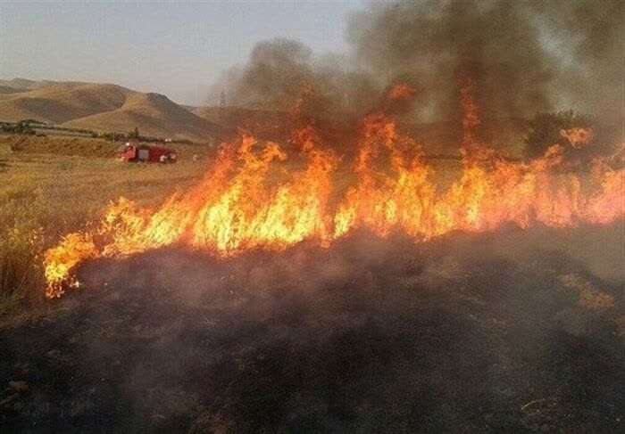 آتش به جان خشک «کانی برازان» مهاباد افتاد