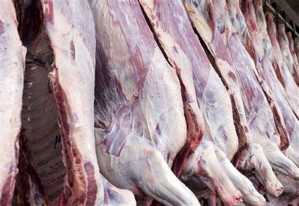 واردات ۷۰ هزار رأس دام برای تنظیم قیمت‌ ها/نرخ گوشت مرغ کاهش می یابد
