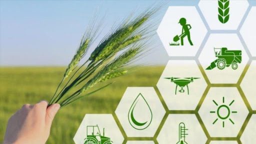 سرمایه صندوق حمایت از توسعه بخش کشاورزی آذربایجان‌غربی ٣برابر شد