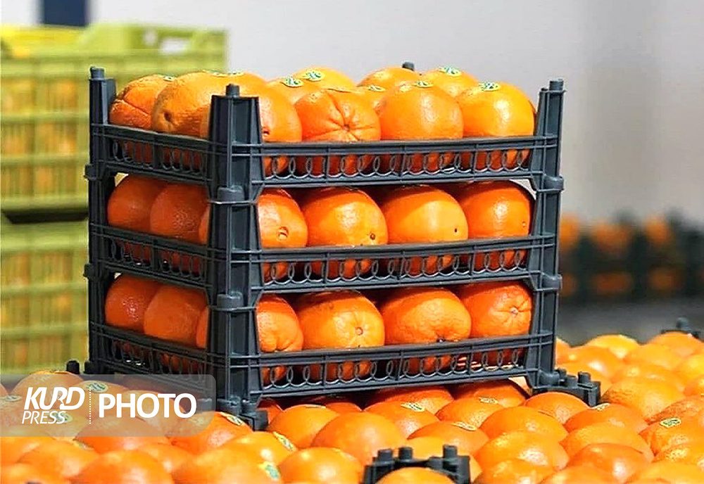 ۱۲۰ غرفه برای توزیع میوه شب عید در کردستان دایر شد