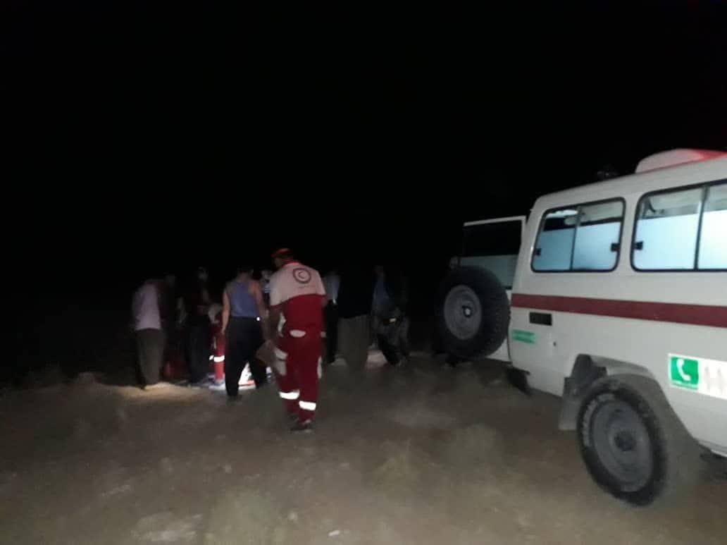 ٣ نفر در حمله گرگ به روستایی در سلماس زخمی شدند