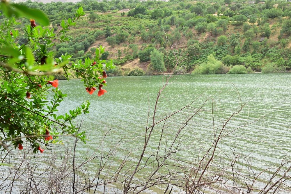 روستای آلوت بانه بهشتی بی نام و نشان