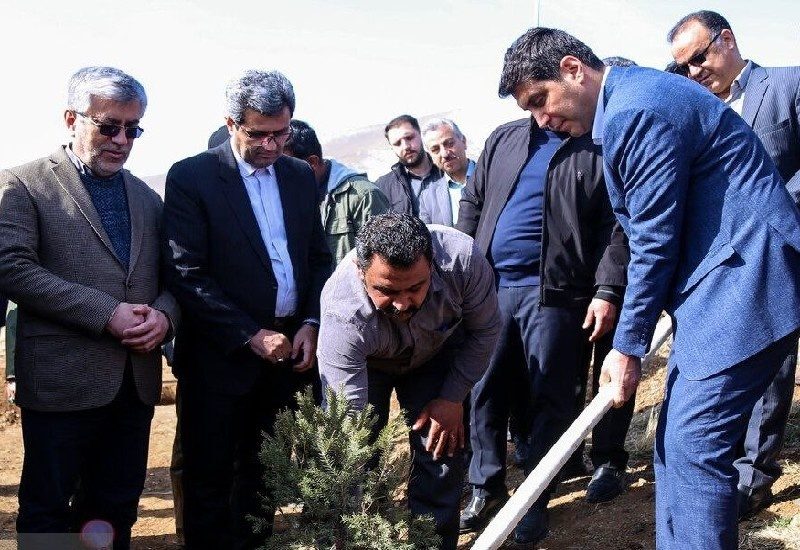 گونه‌های بومی درختان برای حفظ تنوع اکوسیستم کردستان کاشته شود