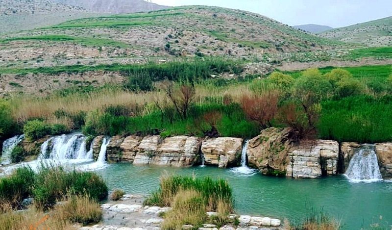 با بلوط‌ها مهربان باشیم