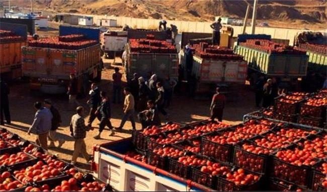 صدها کامیون گوجه‌فرنگی پشت مرزها در حال فاسد شدن هستند
