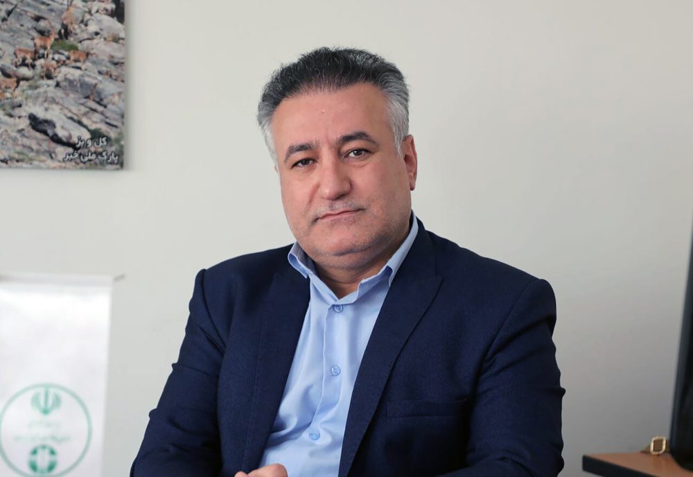 کردستان زیستگاه ۲۲ قطعه میش مرغ است/افزایش جمعیت حیات وحش در مناطق حفاظت شده