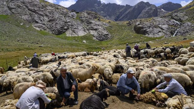 بازگشت آرامش به کوهستانهای مناطق کردنشین ترکیه