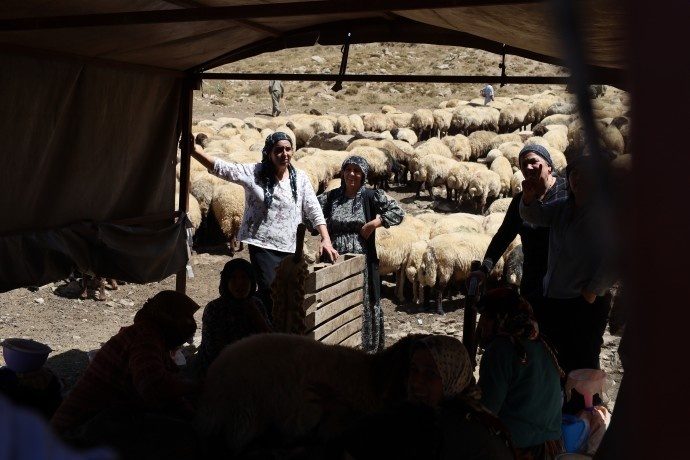 بریوان‌های کاتو مارینوس: اگر صلح واقعی است، نظامیانتان را از کوه‌های ما تخلیه کنید + فیلم