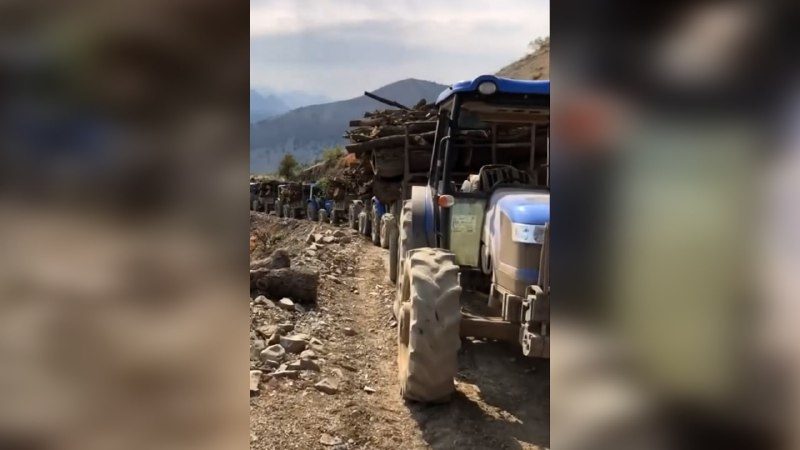 هشدار درباره عملیات گسترده ترکیه برای تخریب محیط زیست اقلیم کردستان